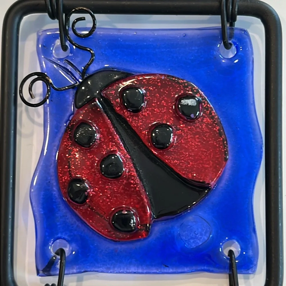 Glass & Metal Decorative Hooks